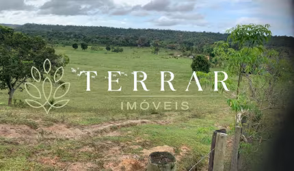 Fazenda Venda ou Arrendamento - Barrolândia