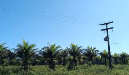 Area Estrada Trancoso - Arraial d'Ajuda