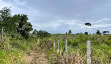 Área Rural - Sítio/Produção Rural