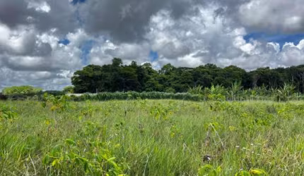 Terreno a 20 minutos do centro de Arraial D’Ajuda Ba