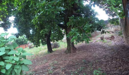 Terreno para Venda em Presidente Prudente, PARQUE FURQUIM