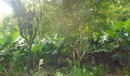 Terreno para Venda em Presidente Prudente, VILA LUZO