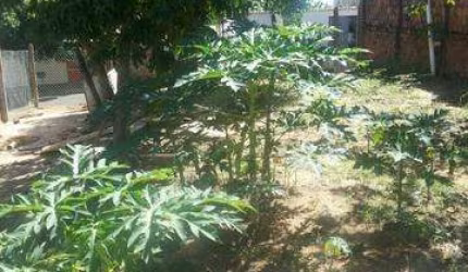 Terreno para Venda em Presidente Prudente, JABAQUARA