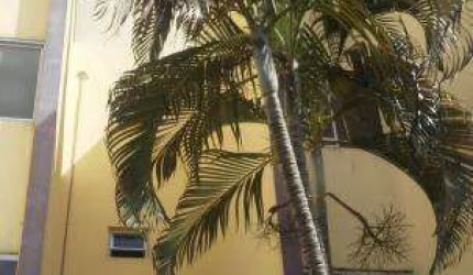 Apartamento para Venda em Presidente Prudente, EDIFÍCIO SAN SEBASTIAN, 3 dormitórios, 1 banheiro, 1 vaga