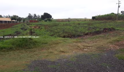 Chácara para Venda em Alfredo Marcondes, ZONA RURAL