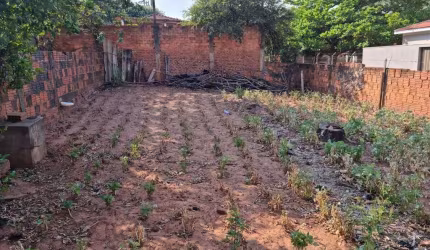 Terreno para Venda em Alfredo Marcondes, CENTRO
