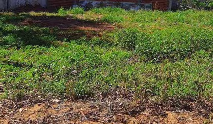 Terreno em Condomínio para Venda em Paulicéia, CONDOMÍNIO RESIDENCIAL ILHA TIBIRIÇA