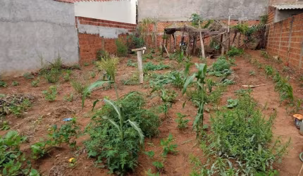 Terreno para Venda em Presidente Prudente, PRUDENTINO