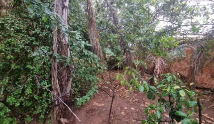 Terreno para Venda em Presidente Prudente, MEDITERRANEO