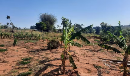 Chácara para Venda em Álvares Machado, CHACARA ESTANCIA DUTRA