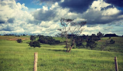 Chácara para Venda em Anhumas, ANHUMAS