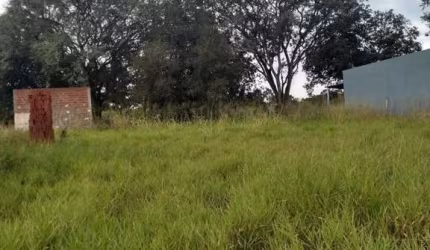 Chácara para Venda em Álvares Machado, CHACARA ESTANCIA MARTINS
