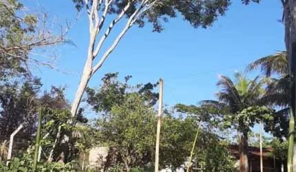 Chácara para Venda em Presidente Prudente, CHACARA PARAISO, 2 dormitórios, 2 banheiros, 3 vagas