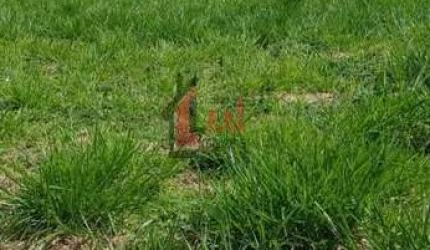 Terreno em Condomínio para Venda em Presidente Prudente, CONDOMÍNIO RESIDENCIAL SOLARES