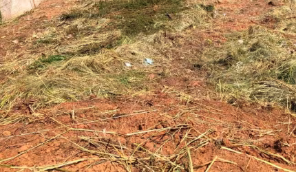 Terreno para Venda em Presidente Prudente, SABARA