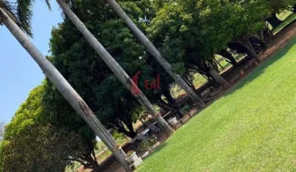 Chácara para Venda em Taciba, CHACARA EM TACIBA, 3 dormitórios, 3 banheiros, 2 vagas