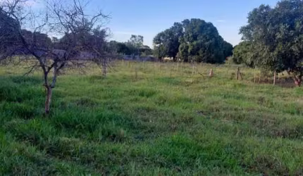 Chácara para Venda em Regente Feijó, CHACARA DAS PAINEIRAS