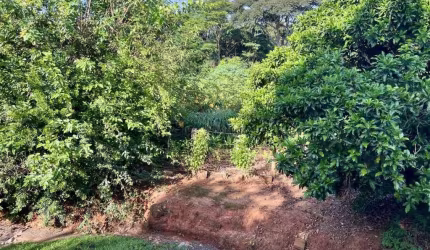Chácara para Venda em Álvares Machado, CHÁCARA ARTHUR BOIGUES