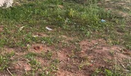 Terreno para Venda em Presidente Prudente, ALTO BELA VISTA I
