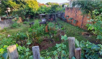 Terreno para Venda em Pirapozinho, Vila Marques