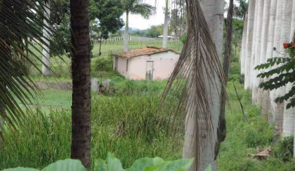 Terreno à venda, 2 m² por R$ 360.000,00 - Gravatá Centro - Gravatá/PE