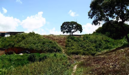 Terreno à venda, 6.600 m² por R$ 1.200.000 - Vila Torres Galvão - Paulista/PE