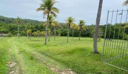 Chácara à venda, 25000 m² por R$ 2.200.000,00 - Umbura - Igarassu/PE