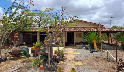 Chácara com 3 dormitórios à venda, 8600 m² por R$ 450.000 - Pombos - Pombos/PE