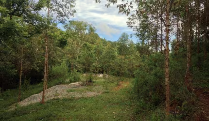Terreno em Santa Felicidade com 80.400 m2