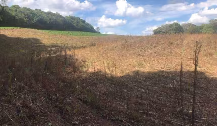 TERRENO DE 42.000M2