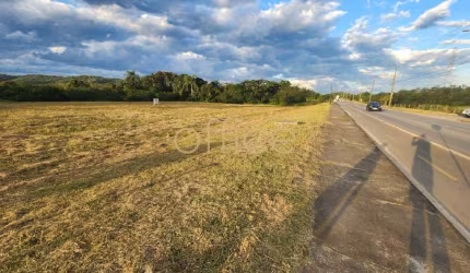 Terreno Comercial à Venda em Joinville-SC, Bairro Nova Brasília: 20,25m² de Oportunidade Imperdível!
