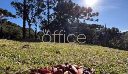 Terreno à venda em Campo Alegre-SC, 19.991,66 m². A oportunidade que você esperava!