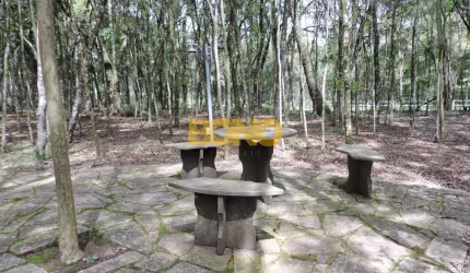 Chácara / sítio para alugar no Linha 40, Caxias do Sul  por R$ 8.000