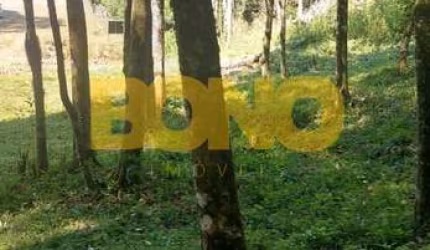 Terreno à venda no Ipanema, Farroupilha , 20000 m2 por R$ 750.000