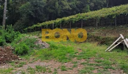 Terreno à venda no Monte Bérico, Caxias do Sul  por R$ 3.500.000