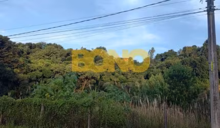 Terreno à venda na Nossa Senhora de Fátima, Caxias do Sul  por R$ 4.500.000