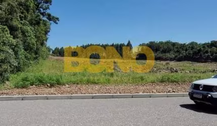 Terreno à venda na Nossa Senhora das Graças, Caxias do Sul , 334 m2 por R$ 149.000