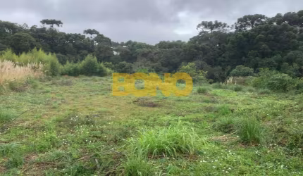 Terreno comercial para alugar no Interlagos, Caxias do Sul  por R$ 5.500