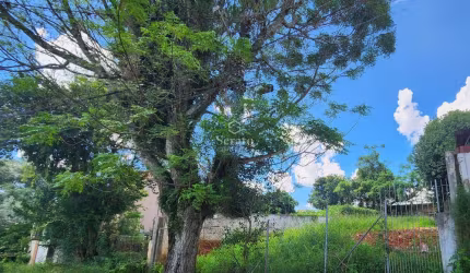 Terreno à venda na Rua João Scuissiato, 381, Santa Quitéria, Curitiba, 444 m2 por R$ 660.000