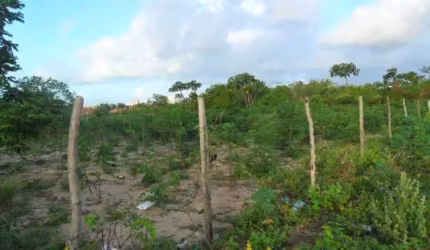 Terreno para vender, cond. Parque das Árvores, com área de 1.000 m².