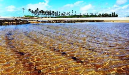 Terreno para vender, linda vista do mar, na praia de Jacumã, Barra de Maxaranguape, com área de 490