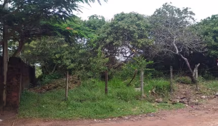 Excelente terreno em Pium, 912m², ótimo local.