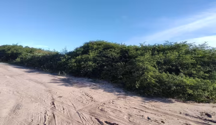 Terreno com 5.000 m² em Pium