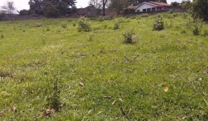 Terreno Residencial à venda, Dom Bosco, Ibiporã - TE1068.