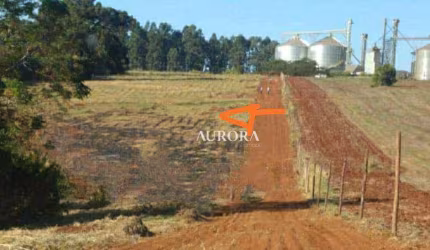 Terreno à venda, 1439 m² por R$ 89.000 - Guaravera/PR
