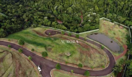 Terreno à venda, 1400 m² por R$ 3.500.000 - The Euro Royal Residence &amp; Resort - Londrina/PR