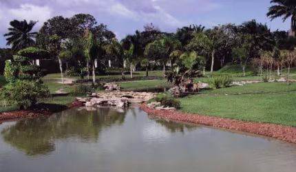 FAZENDA ABRANTES