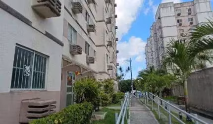 Imóvel para venda possui 47 metros quadrados com 2 quartos em Tejipió - Recife - PE