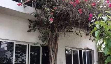 Vendo casa/galeria para Comercio Engenho do Meio
