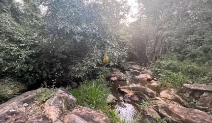 Sítio à Venda em Amparo